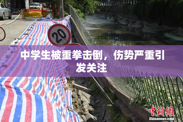 中学生被重拳击倒，伤势严重引发关注