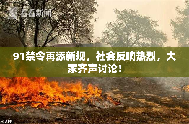 91禁令再添新规，社会反响热烈，大家齐声讨论！
