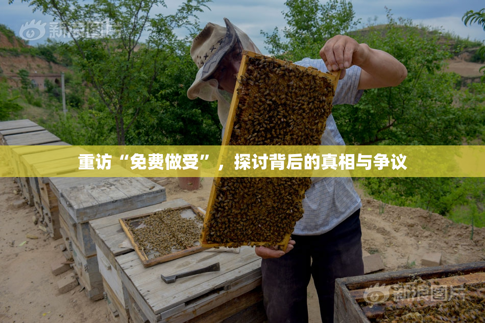 重访“免费做受”，探讨背后的真相与争议