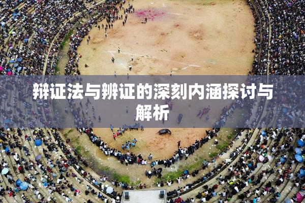 辩证法与辨证的深刻内涵探讨与解析
