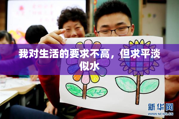 我对生活的要求不高，但求平淡似水