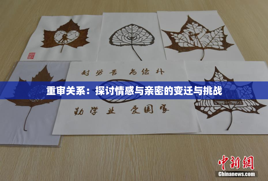 重审关系：探讨情感与亲密的变迁与挑战