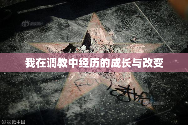 我在调教中经历的成长与改变