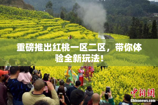 重磅推出红桃一区二区，带你体验全新玩法！