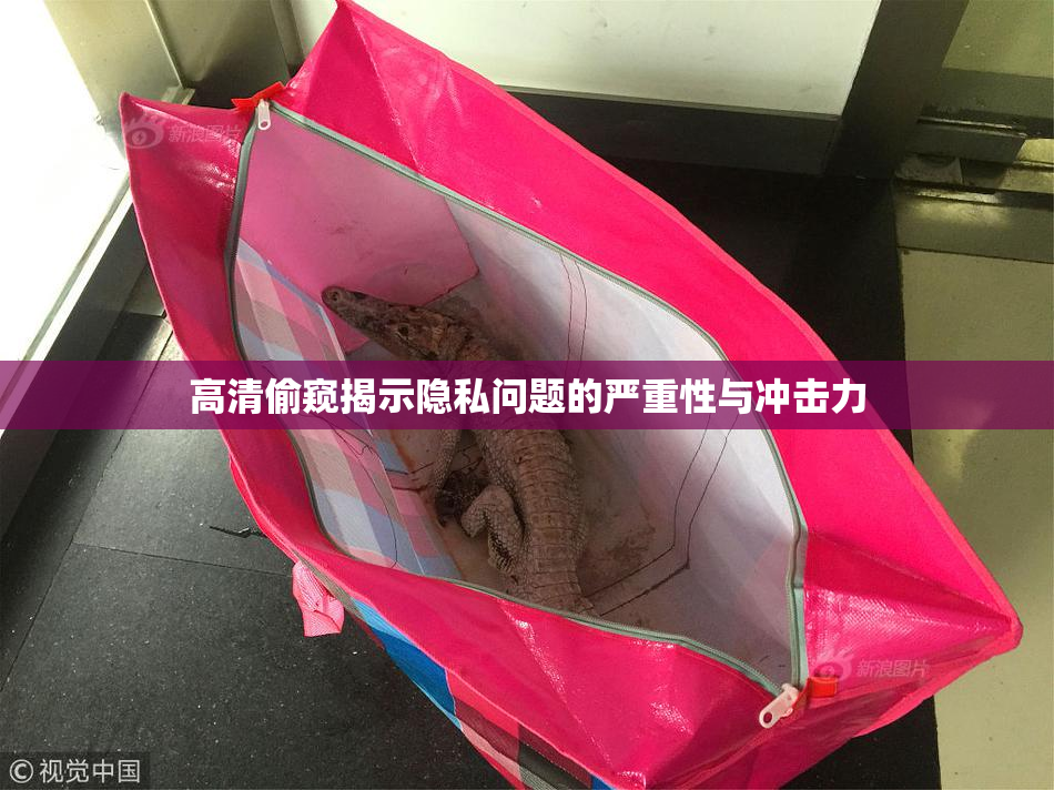 高清偷窥揭示隐私问题的严重性与冲击力