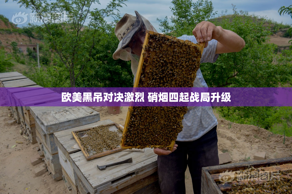 欧美黑吊对决激烈 硝烟四起战局升级