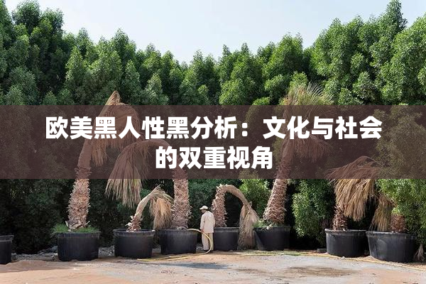 欧美黑人性黑分析：文化与社会的双重视角