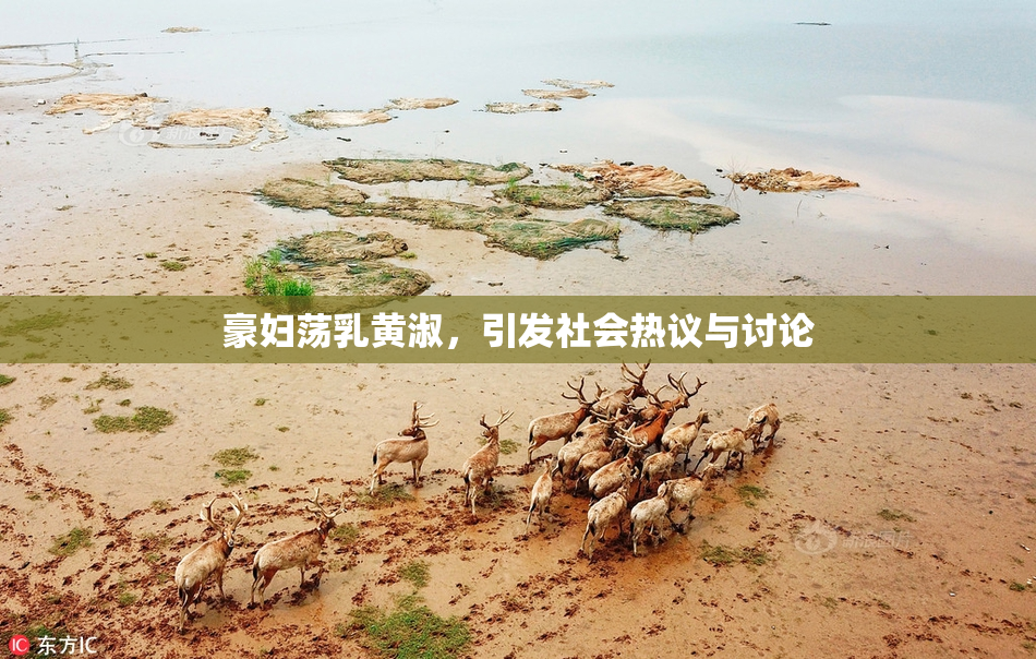 豪妇荡乳黄淑，引发社会热议与讨论