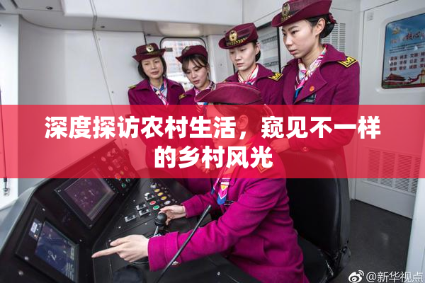 深度探访农村生活，窥见不一样的乡村风光