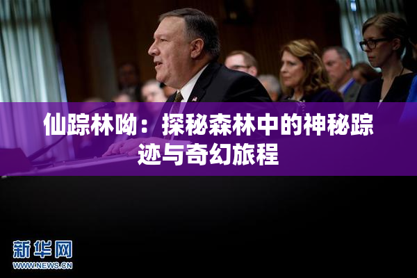 仙踪林呦：探秘森林中的神秘踪迹与奇幻旅程