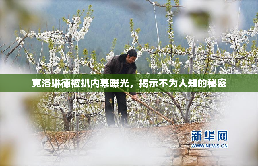克洛琳德被扒内幕曝光，揭示不为人知的秘密