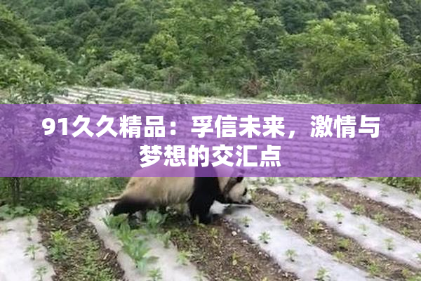 91久久精品：孚信未来，激情与梦想的交汇点