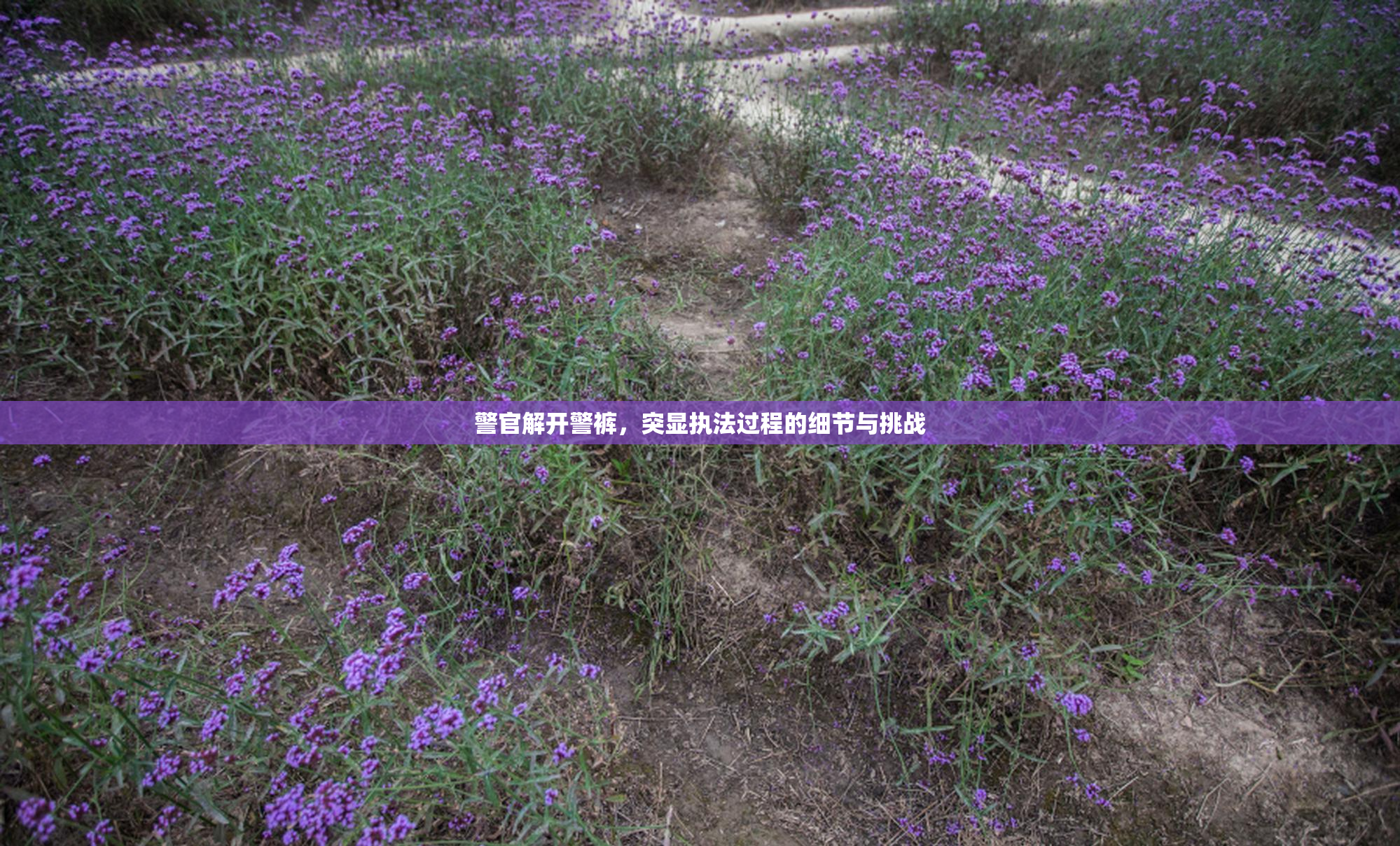 警官解开警裤，突显执法过程的细节与挑战