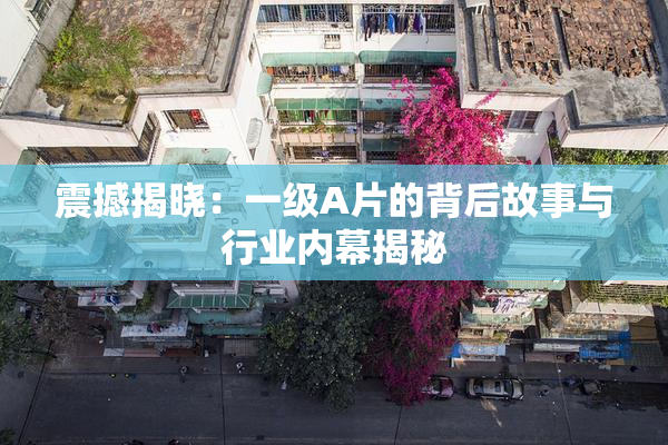震撼揭晓：一级A片的背后故事与行业内幕揭秘