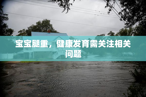 宝宝腿重，健康发育需关注相关问题