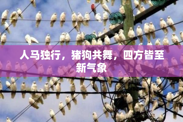 人马独行，猪狗共舞，四方皆至新气象
