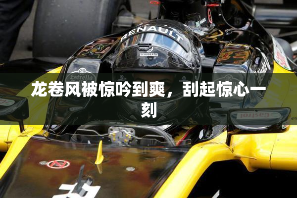 龙卷风被惊吟到爽，刮起惊心一刻