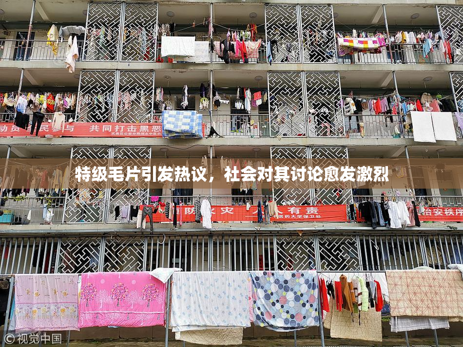 特级毛片引发热议，社会对其讨论愈发激烈