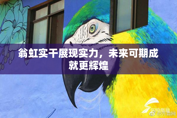 翁虹实干展现实力，未来可期成就更辉煌