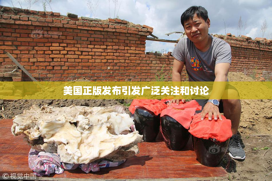 美国正版发布引发广泛关注和讨论