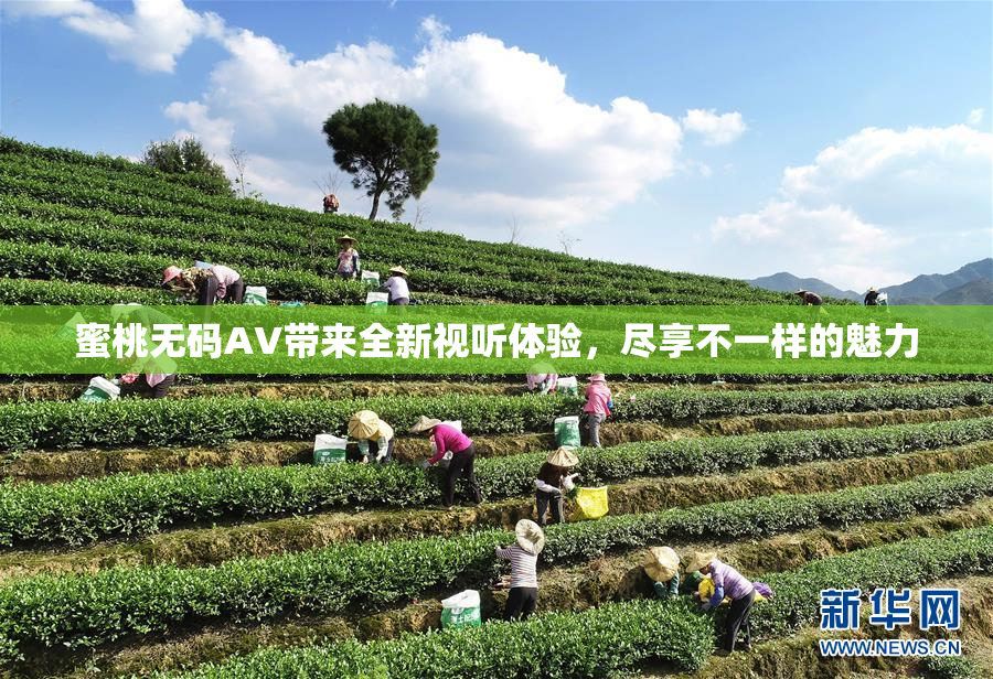 蜜桃无码AV带来全新视听体验，尽享不一样的魅力