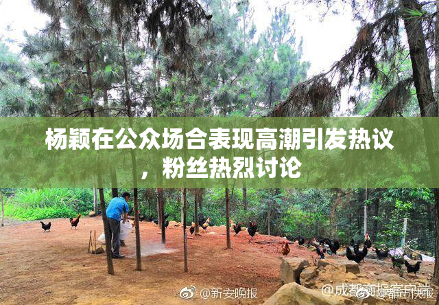 杨颖在公众场合表现高潮引发热议，粉丝热烈讨论