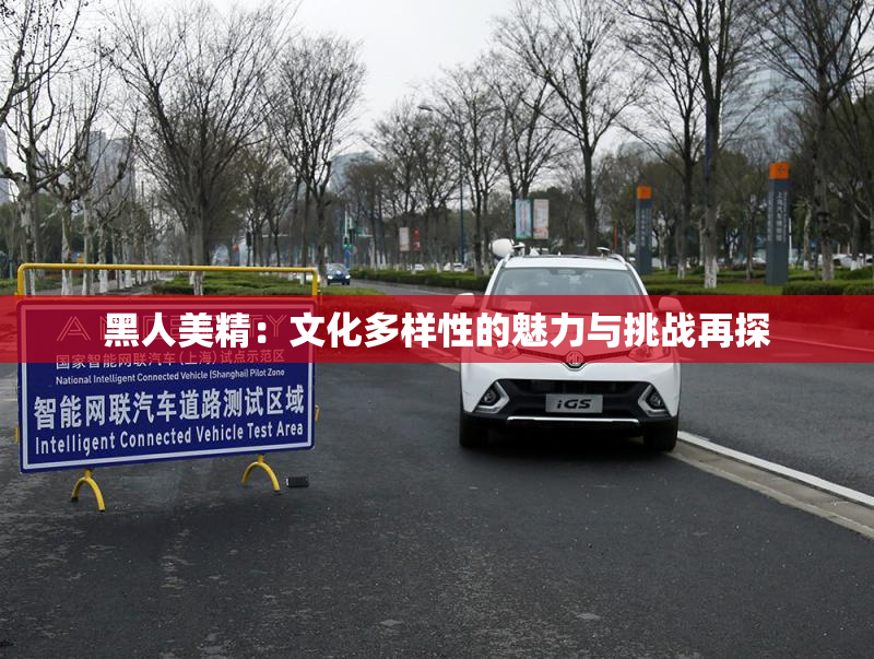黑人美精：文化多样性的魅力与挑战再探