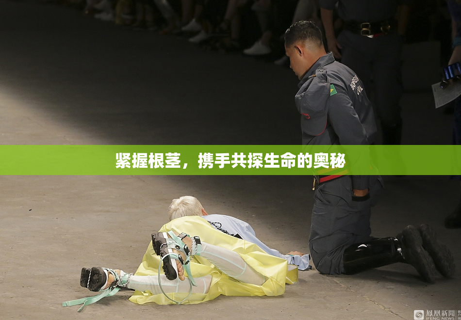 紧握根茎，携手共探生命的奥秘