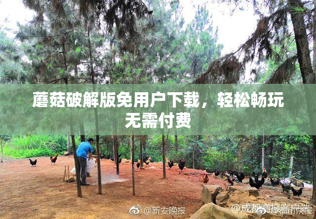 蘑菇破解版免用户下载，轻松畅玩无需付费