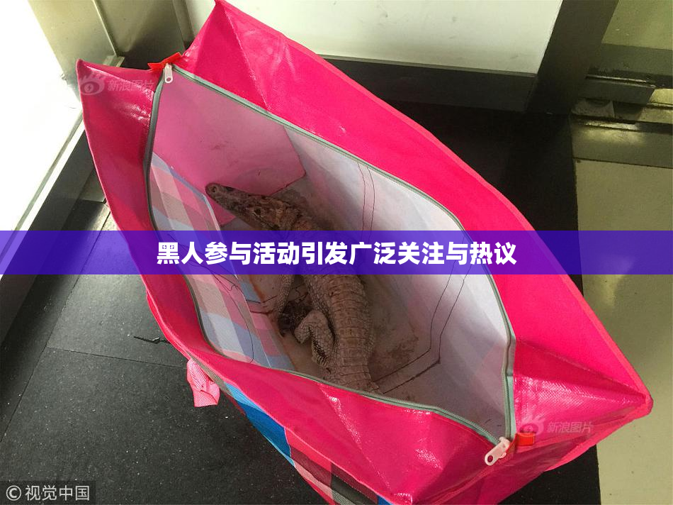 黑人参与活动引发广泛关注与热议