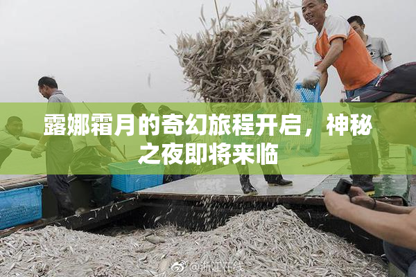 露娜霜月的奇幻旅程开启，神秘之夜即将来临