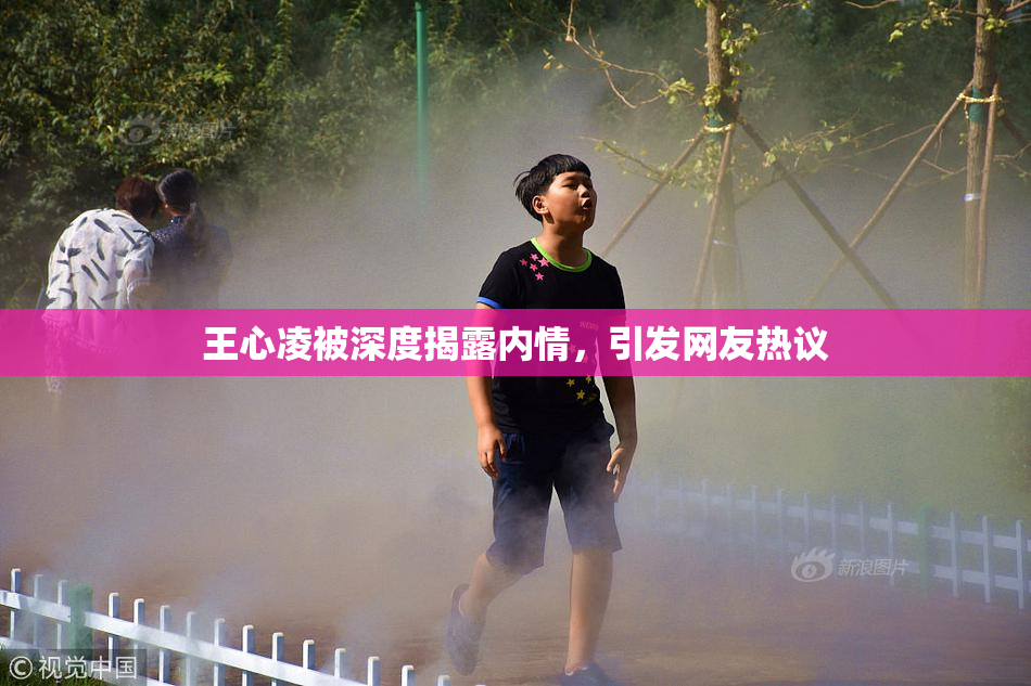 王心凌被深度揭露内情，引发网友热议
