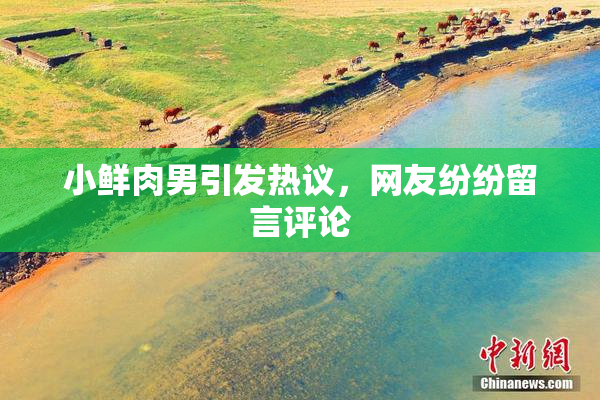 小鲜肉男引发热议，网友纷纷留言评论
