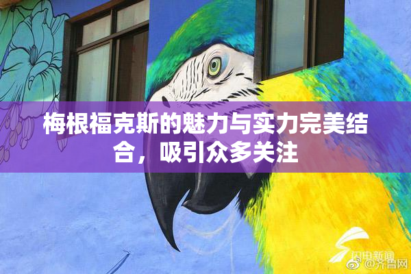 梅根福克斯的魅力与实力完美结合，吸引众多关注