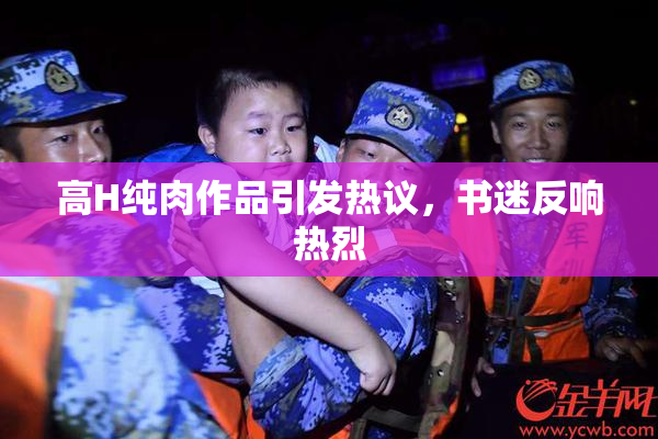高H纯肉作品引发热议，书迷反响热烈