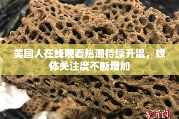 美国人在线观看热潮持续升温，媒体关注度不断增加