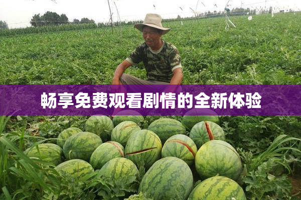 畅享免费观看剧情的全新体验