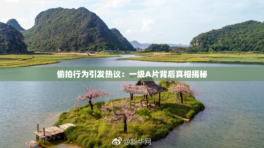 偷拍行为引发热议：一级A片背后真相揭秘