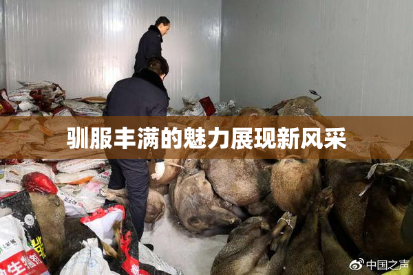 驯服丰满的魅力展现新风采