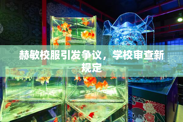 赫敏校服引发争议，学校审查新规定
