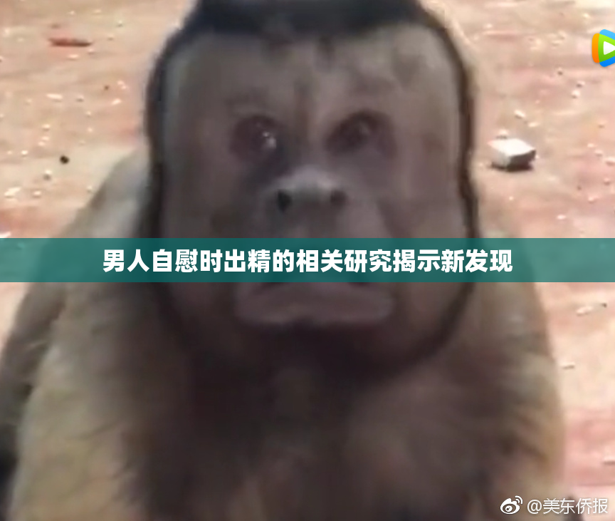 男人自慰时出精的相关研究揭示新发现