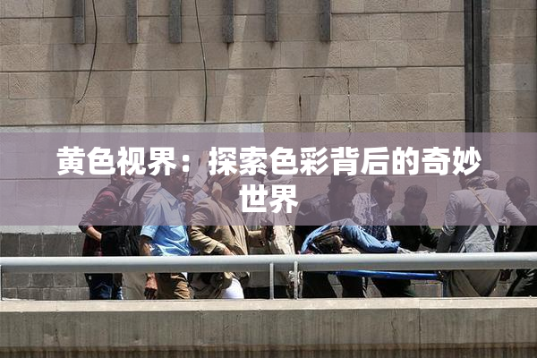 黄色视界：探索色彩背后的奇妙世界