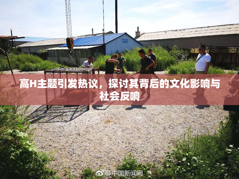 高H主题引发热议，探讨其背后的文化影响与社会反响