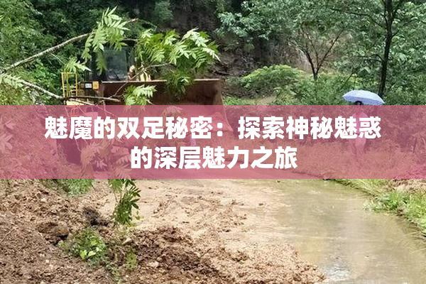 魅魔的双足秘密：探索神秘魅惑的深层魅力之旅