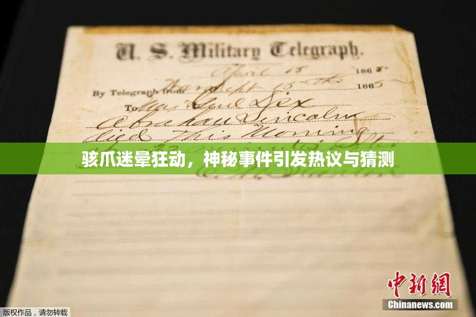 骇爪迷晕狂动，神秘事件引发热议与猜测