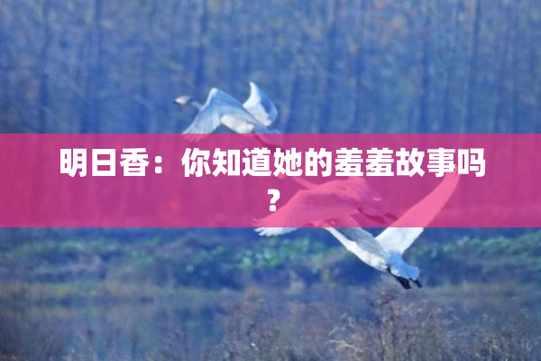 明日香：你知道她的羞羞故事吗？