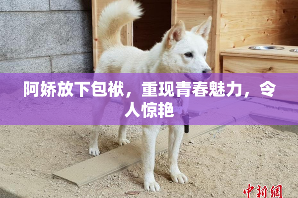 阿娇放下包袱，重现青春魅力，令人惊艳