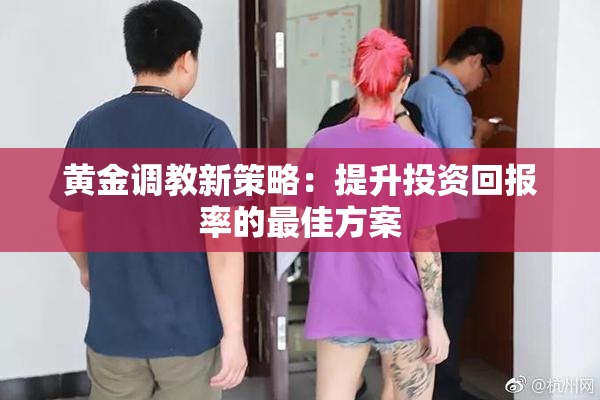黄金调教新策略：提升投资回报率的最佳方案