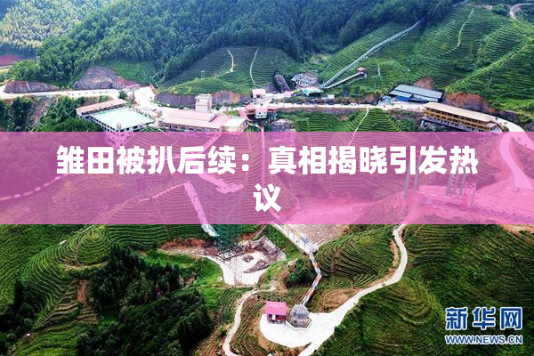 雏田被扒后续：真相揭晓引发热议