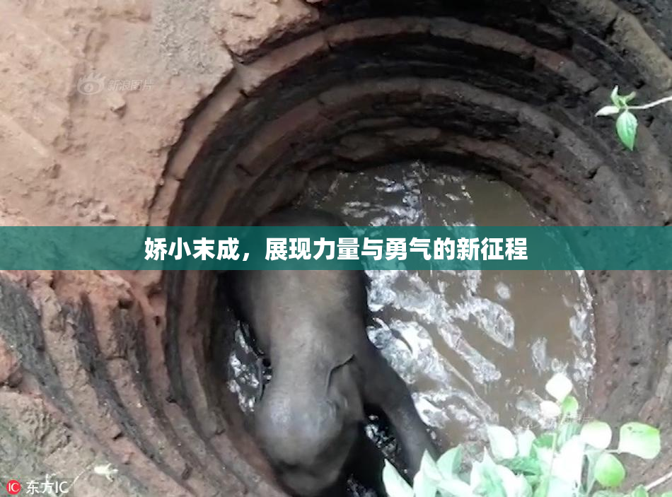 娇小末成，展现力量与勇气的新征程
